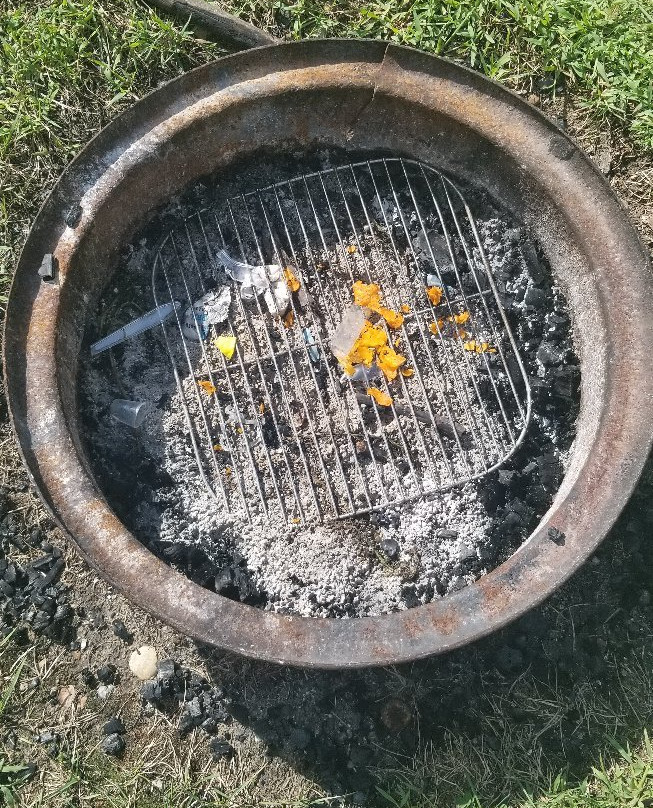 Sherwood Forest Camping & RV Park主图