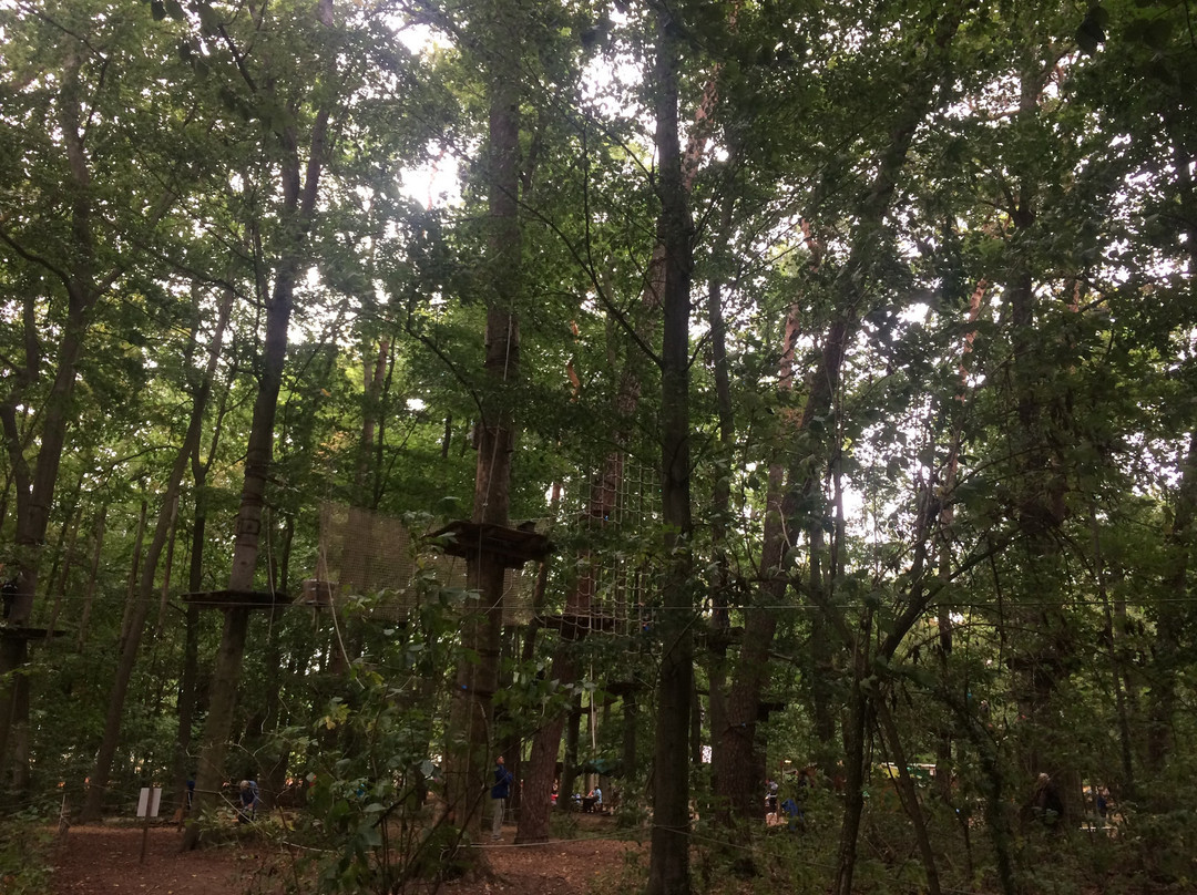 Kletterwald Darmstadt-达姆施塔特行政区必去景点