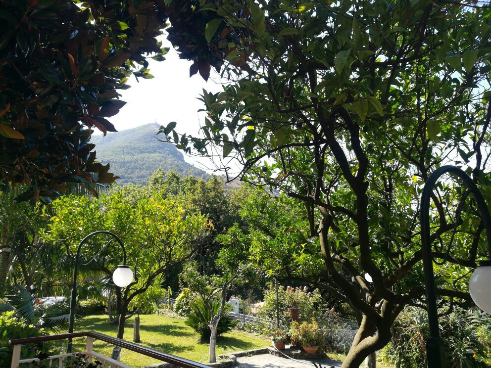 Hotel Villa Degli Aranci