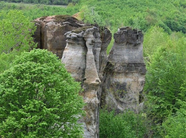 Gradina Zmeilor景点图片