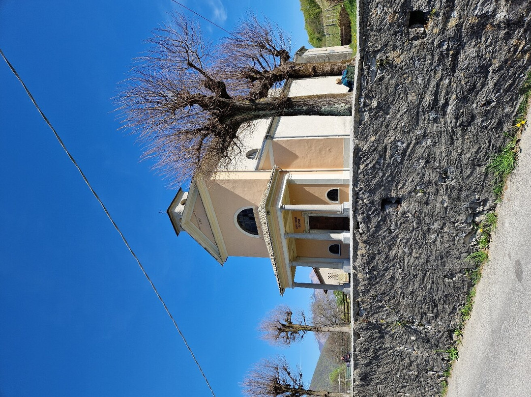 Santuario di San Rocco景点图片