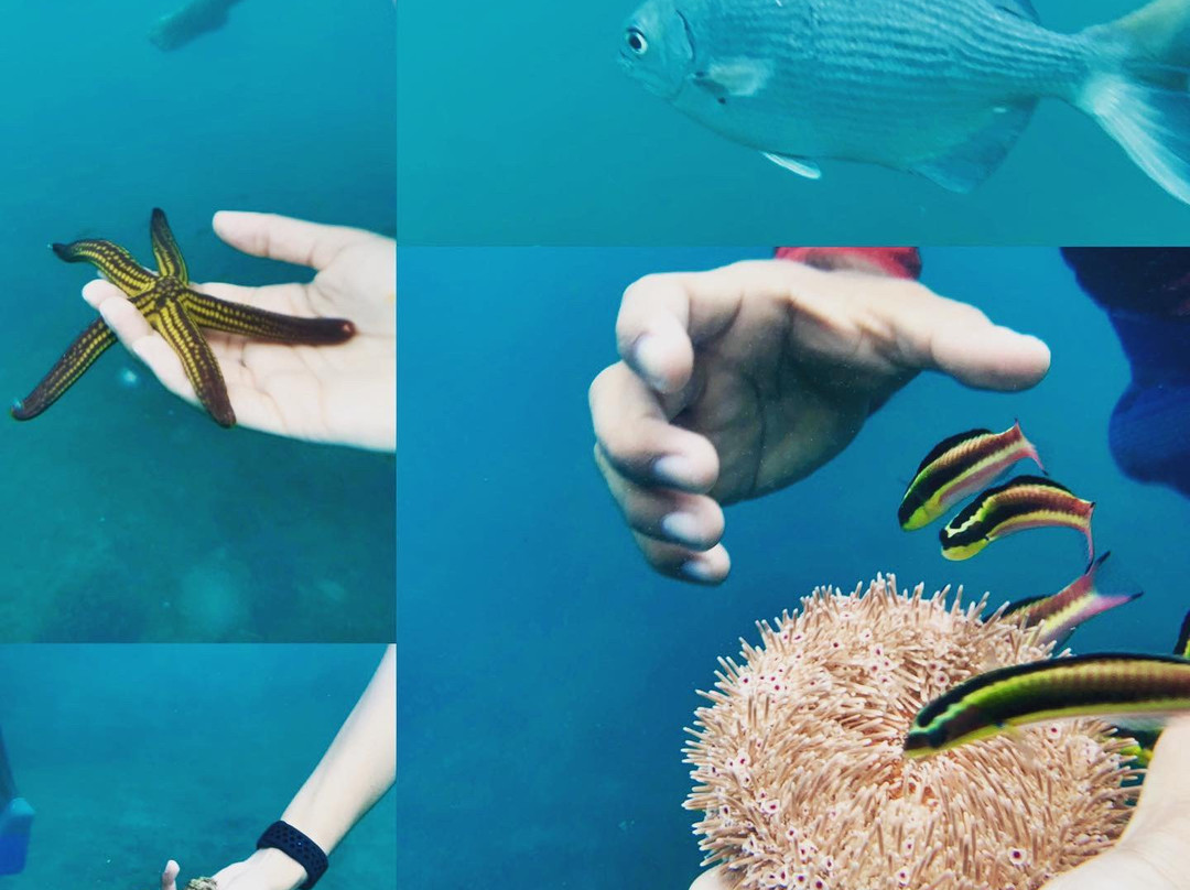 Playa Coral-印坦巴/芝华塔尼欧必去景点