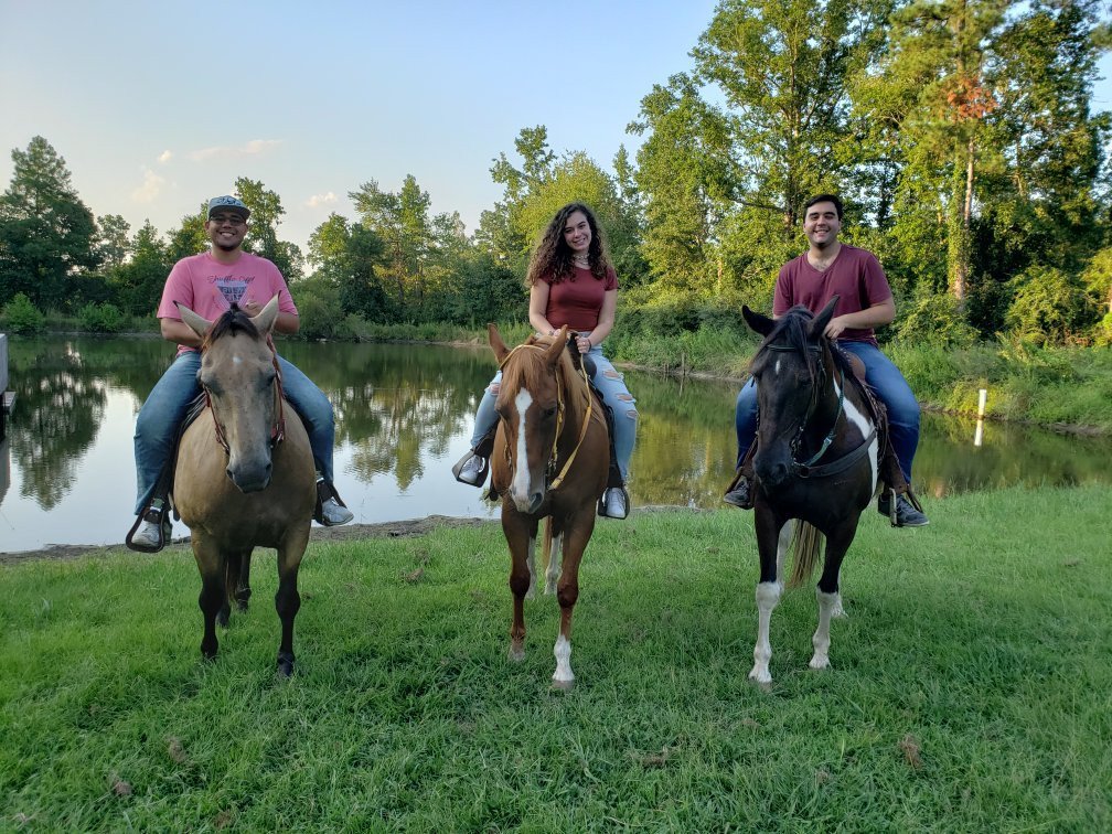 Grand Strand Horseback Riding景点图片