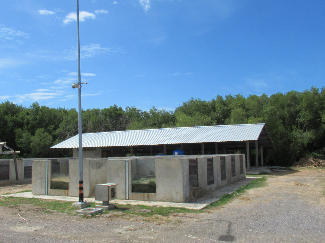 Laem Phak Bia Environmental Research and Development Project景点图片