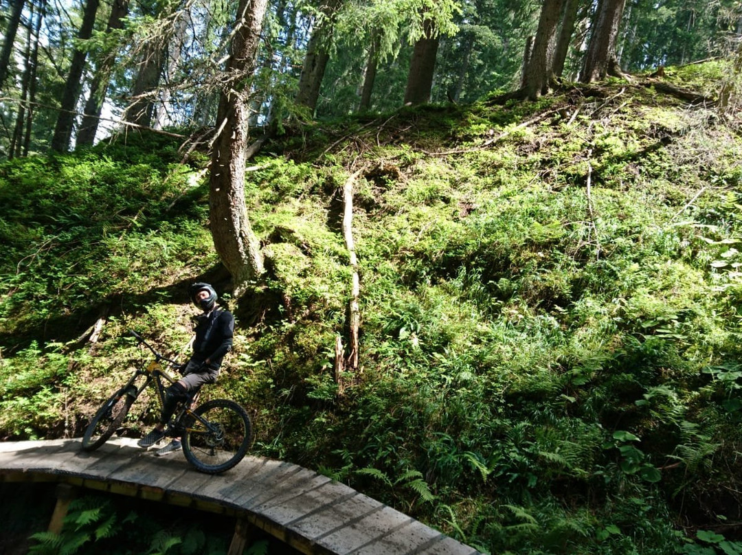 Bikepark Leogang-里欧刚必去景点