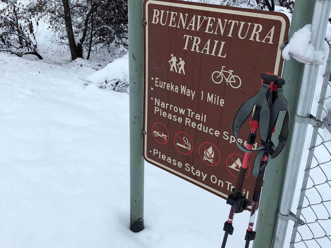 Sacramento River Trail景点图片
