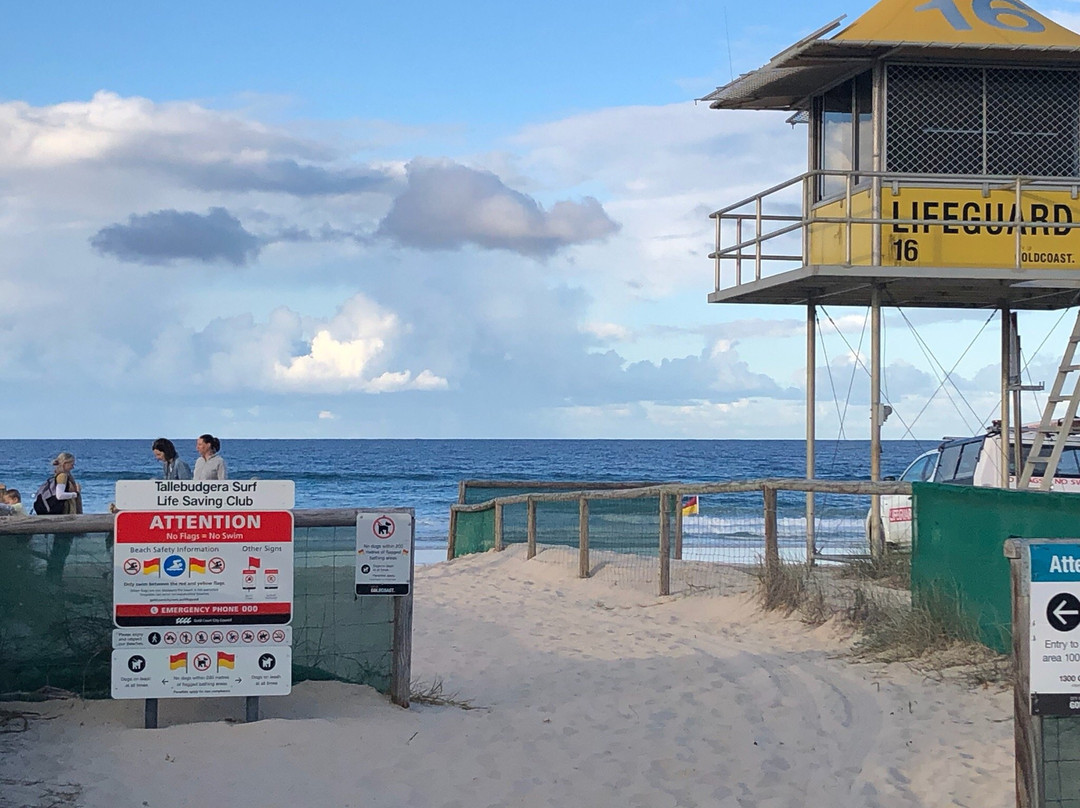 Tallebudgera Beach景点图片