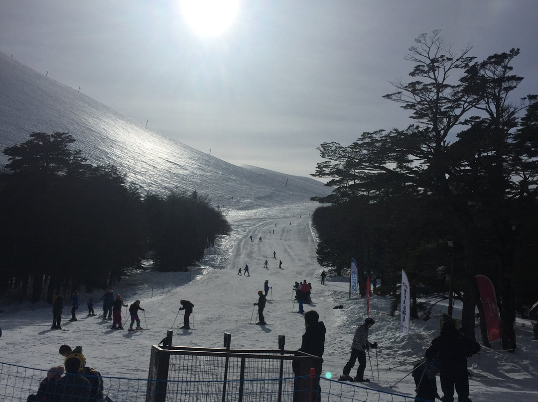 Centro de Ski Antillanca主图