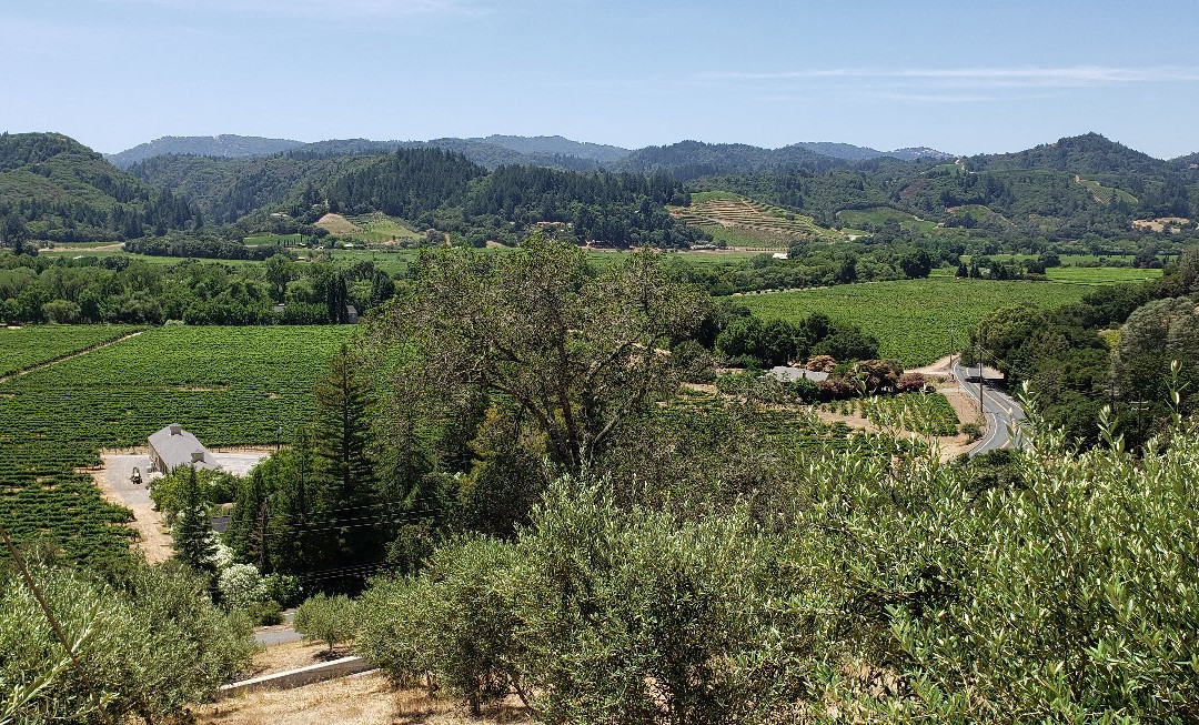 Trattore Farms and Winery景点图片