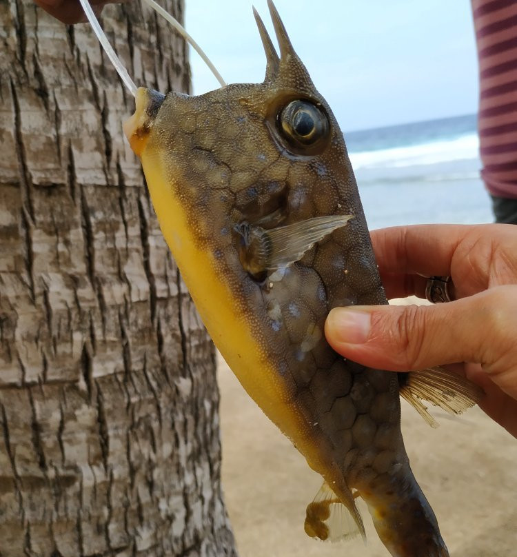 伊斯兰迪亚海滩度假村主图