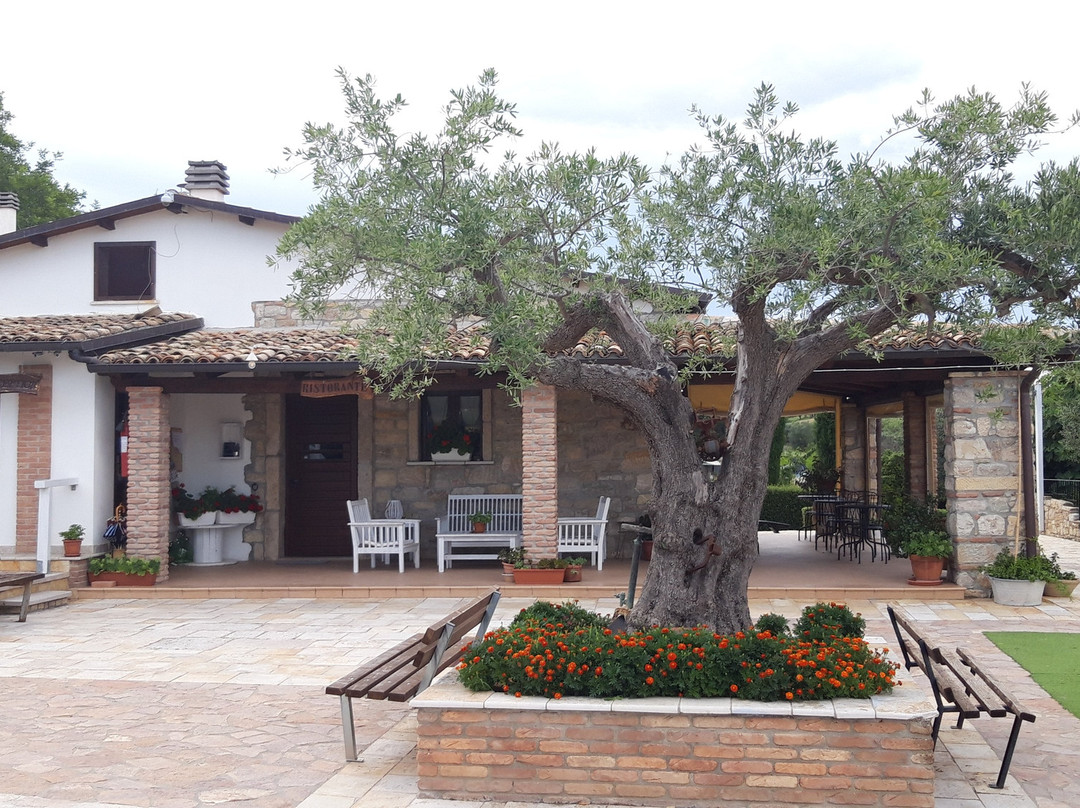 Agriturismo Fontefredda主图