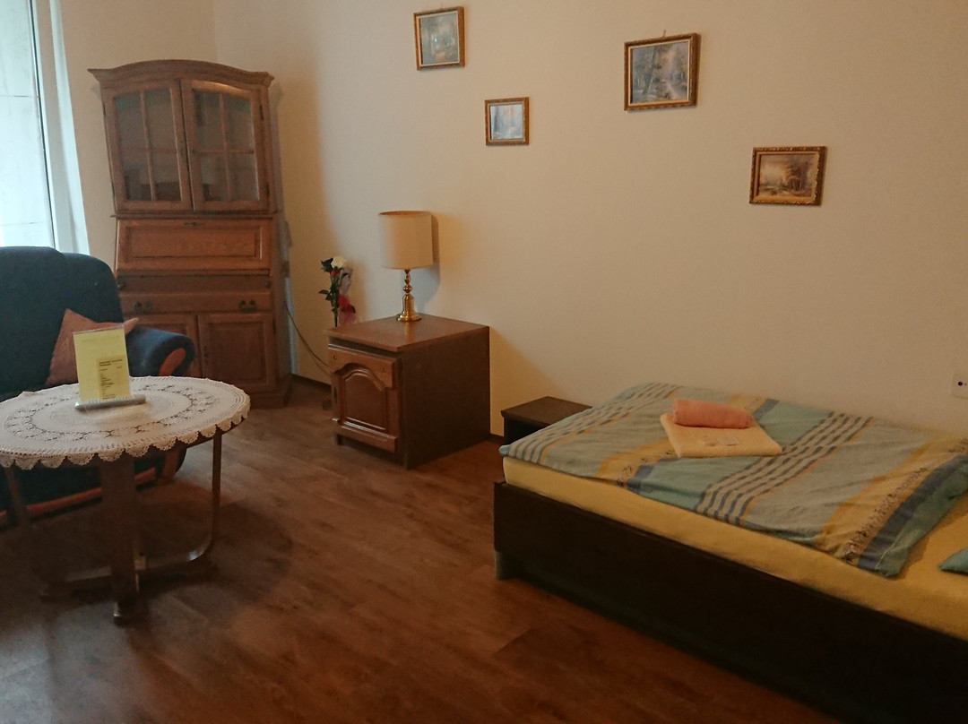 Hotel Pavla Vysocina主图