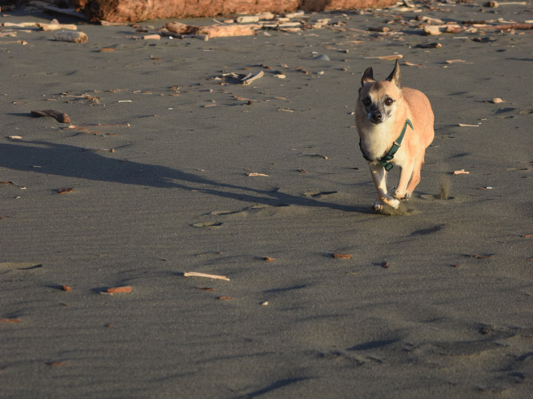 Hidden Beach-克拉马斯必去景点