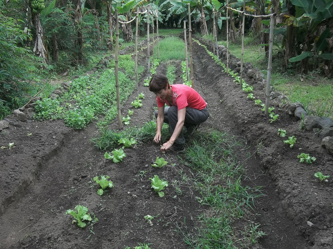 Agrotourism Finca Sermide景点图片