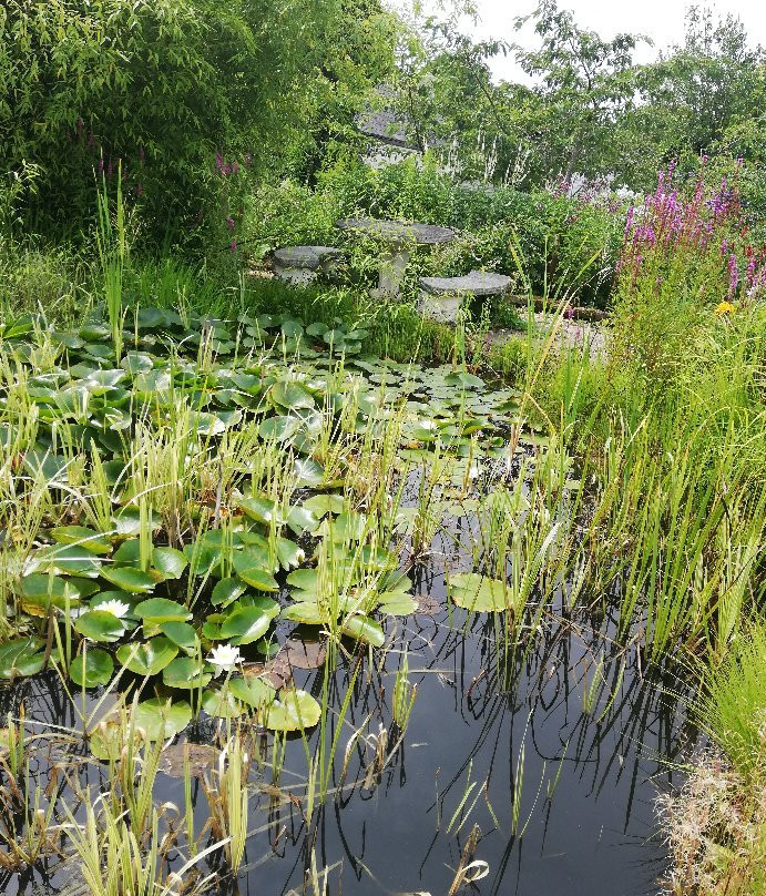 Bluebell Cottage Gardens景点图片