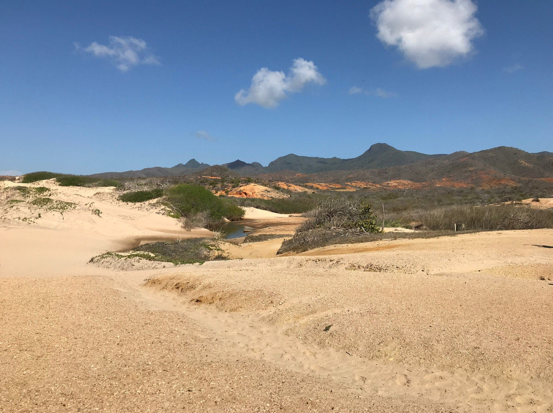 Punta Arena Beach-玛格丽塔岛必去景点
