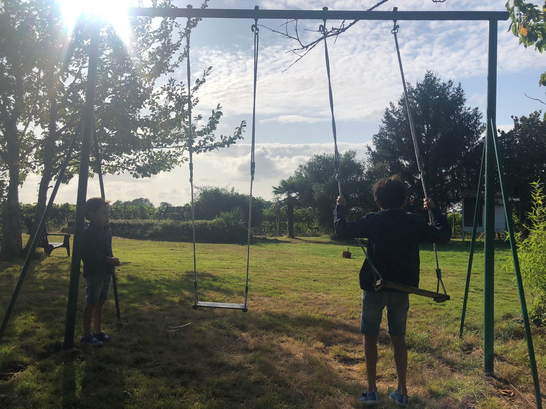 Domaine des Tilleuls主图