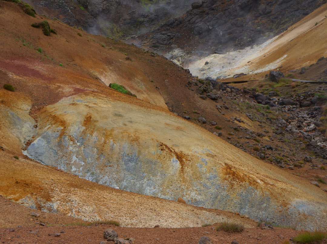 Discovery 4 you tours-雷克雅未克必去景点