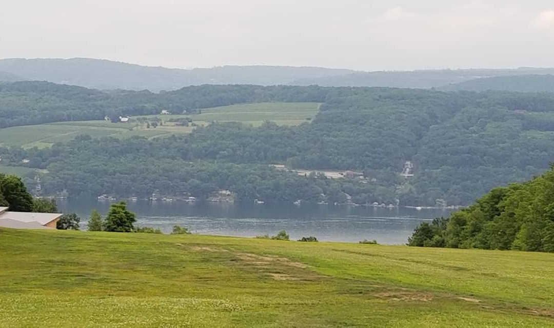 Lakeside Resort主图