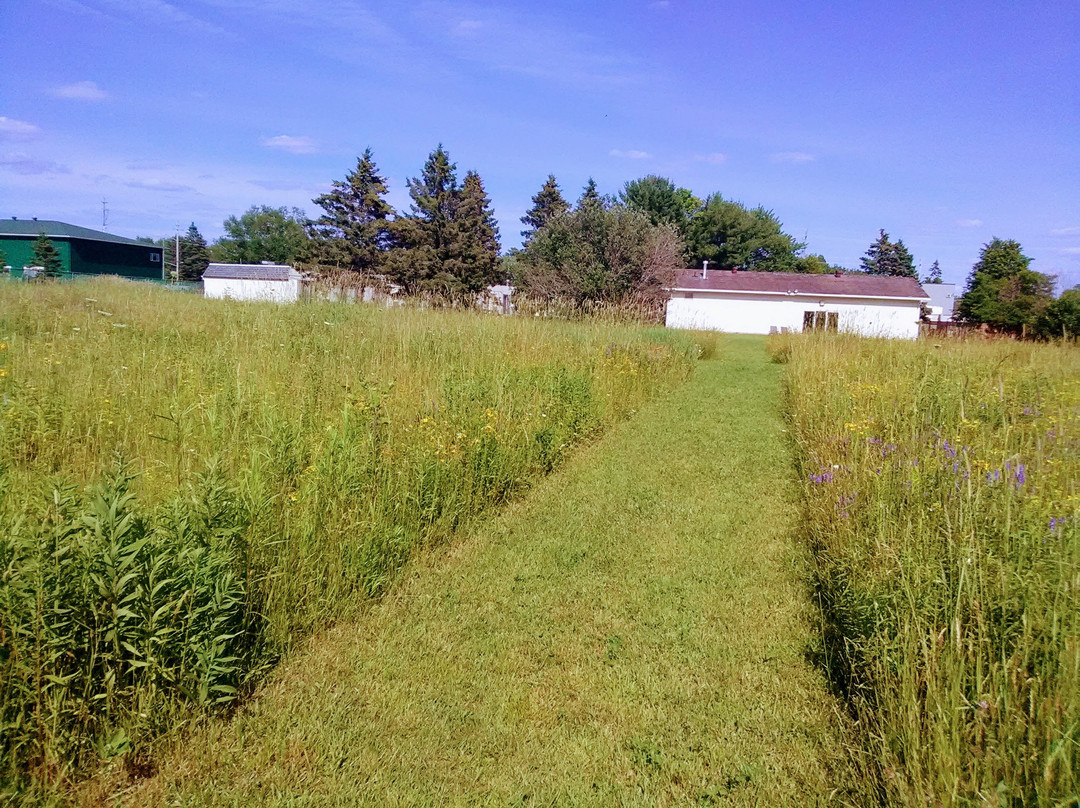 Ambassador Motel主图