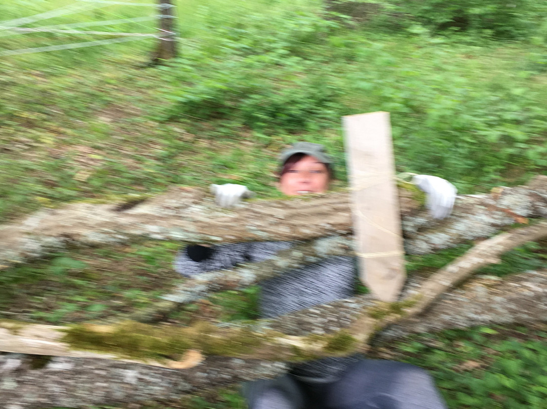 Arc Aventures-Arc-sur-Tille必去景点