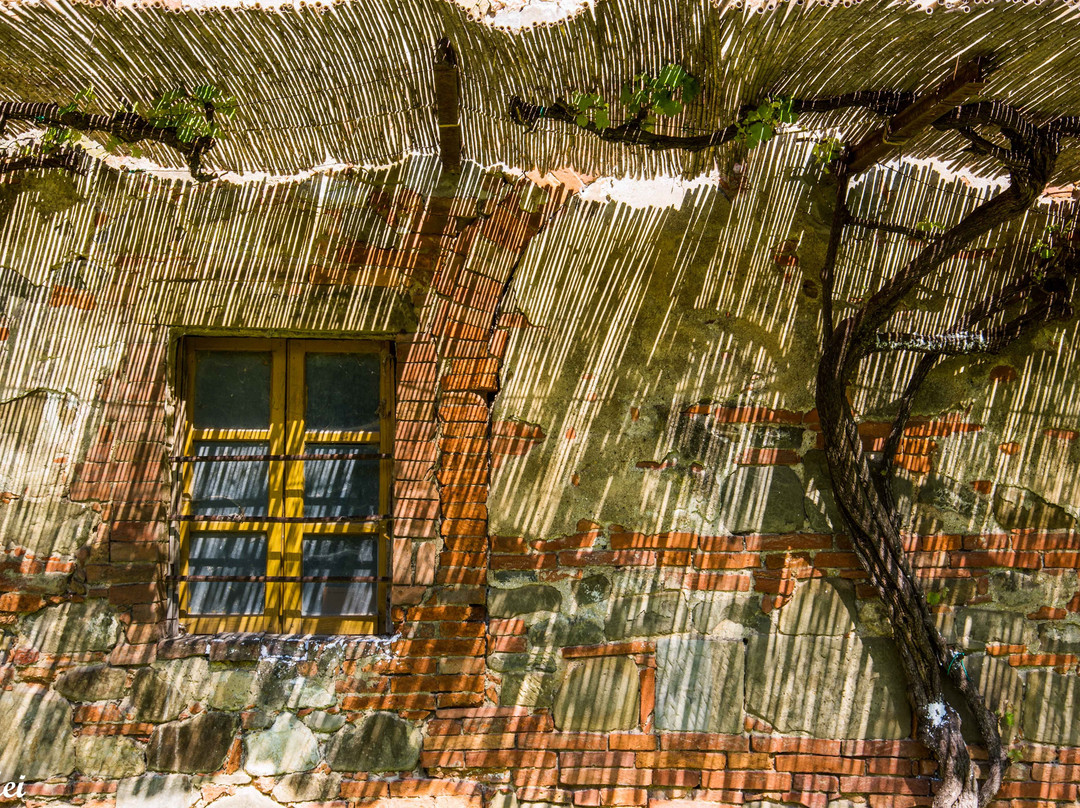 Tuscany Photo Tours景点图片