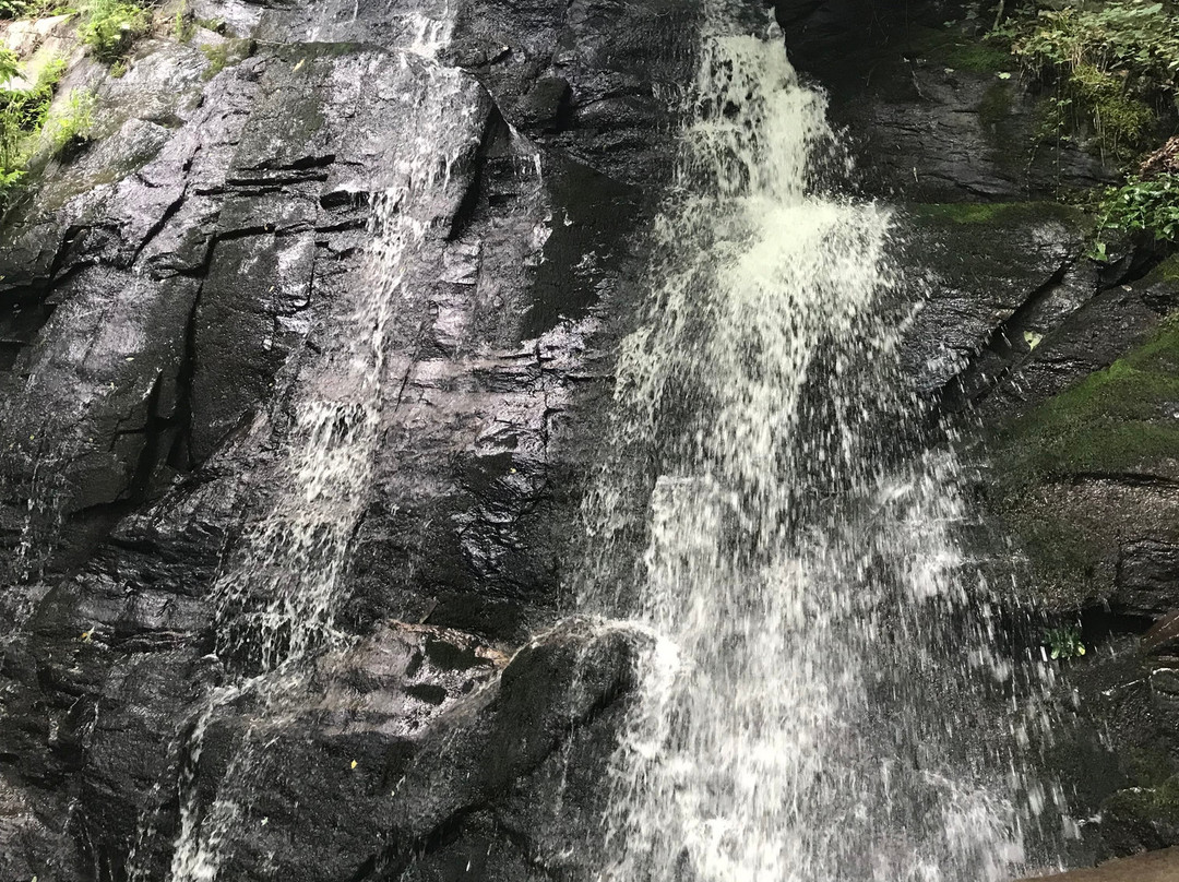 Deep Creek Trail-布赖森城必去景点