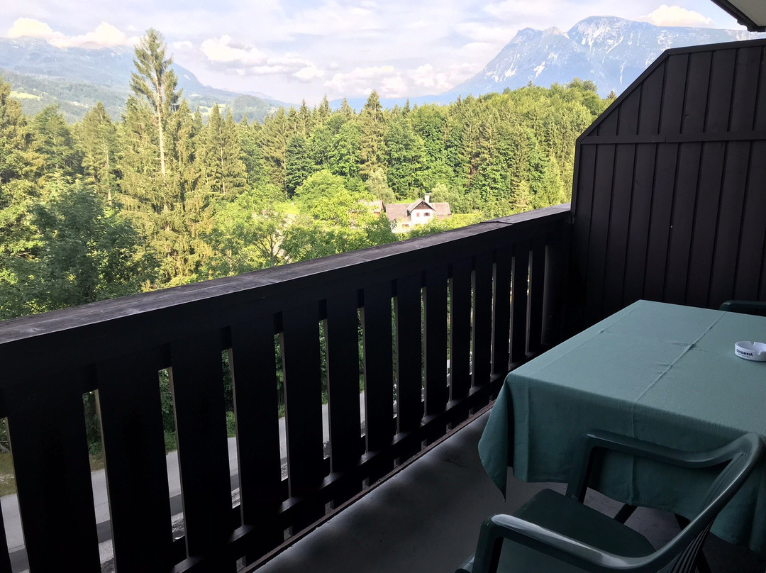 Alpenhotel Dachstein主图