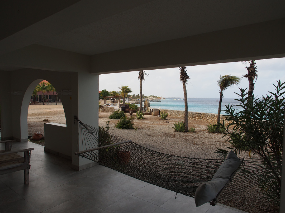 Sand Dollar Bonaire主图