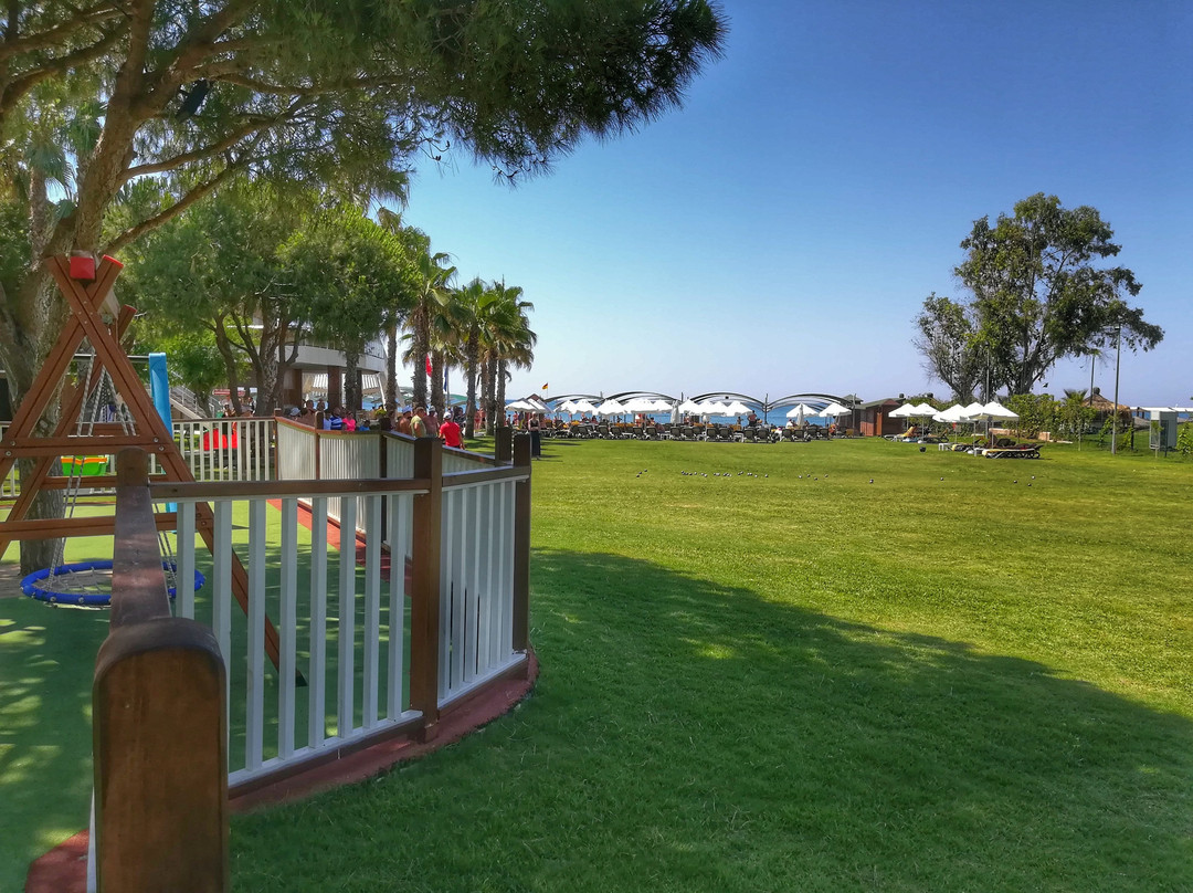 Papillon Zeugma Relaxury主图