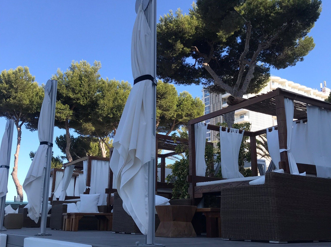 Nikki Beach Mallorca-马加洛夫必去景点