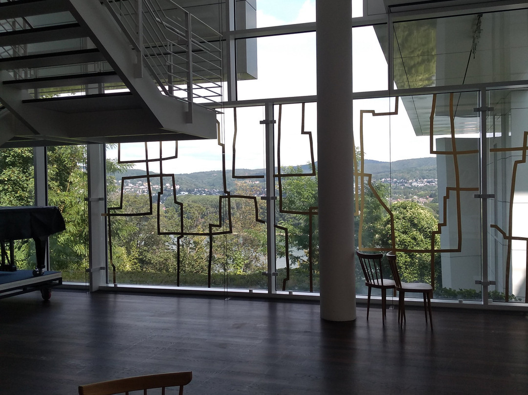 Arp Museum景点图片