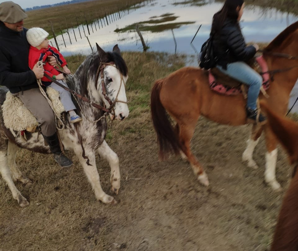 Cabalgatas De Uribelarrea景点图片