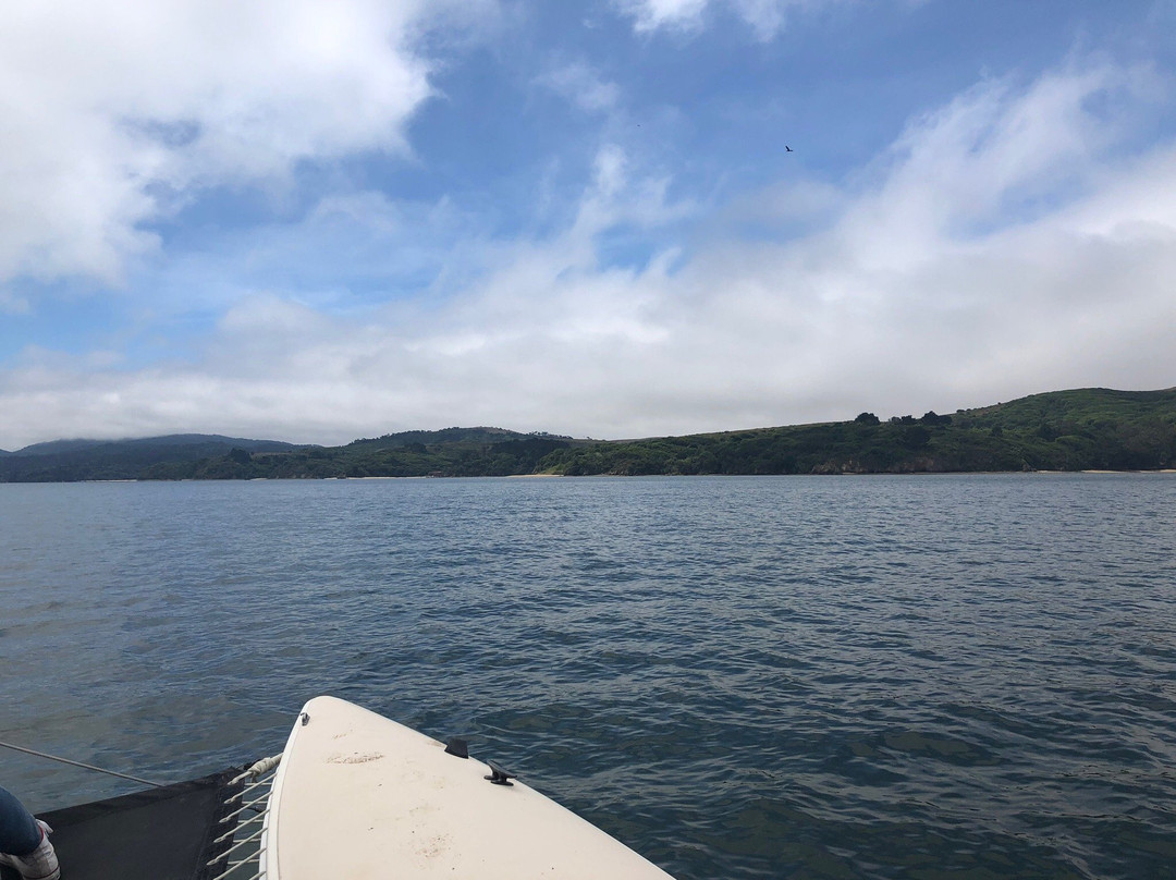 Tomales Bay Sailing景点图片