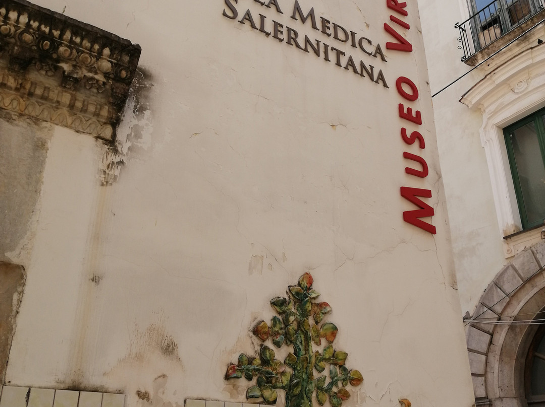 Virtual Museum of Salerno's Medical School景点图片
