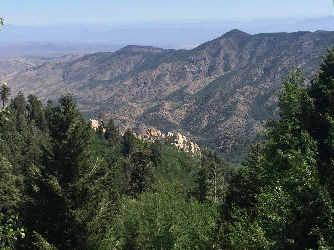 Pedego Electric Bikes Mt Lemmon-图森必去景点