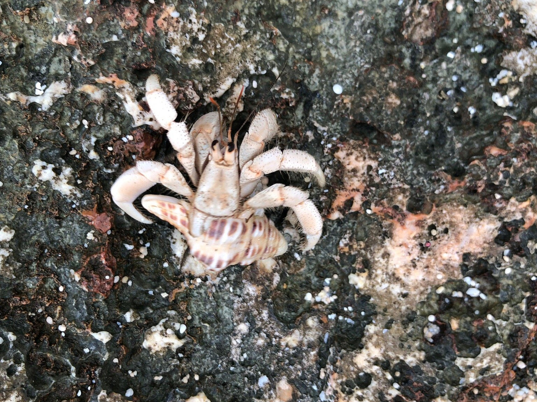 Habyan, Cape Kaberu-南城市必去景点