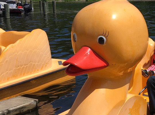 Kensington Metropark-Milford必去景点