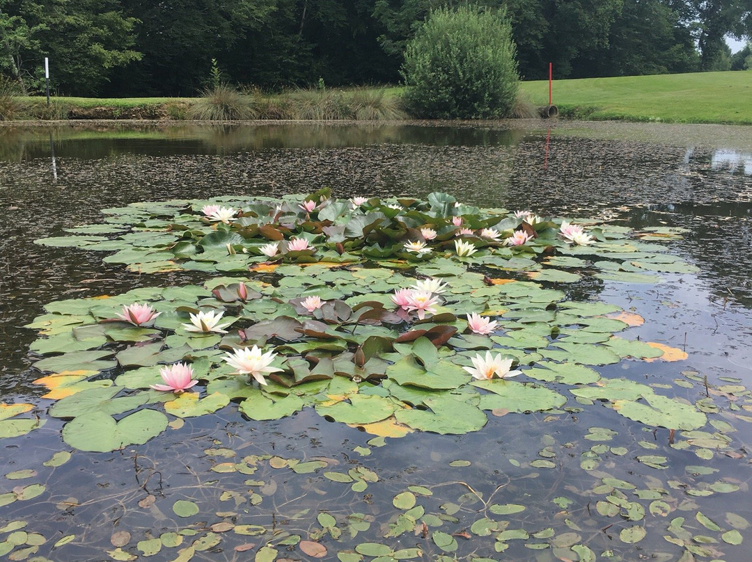 La Sorelle - Golf Hôtel Restaurant-Villette-sur-Ain必去景点