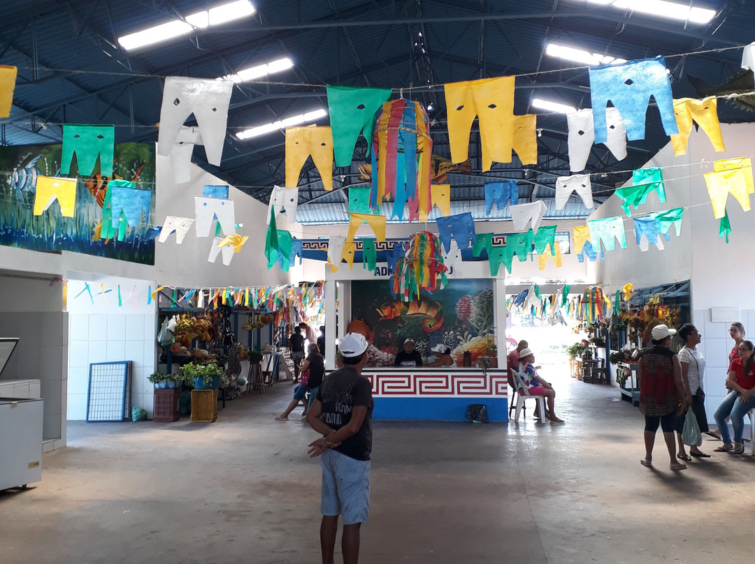 Mercado Municipal de Soure-Soure必去景点