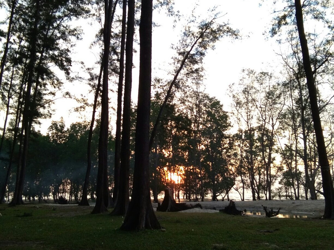 Tanah Merah Beach景点图片