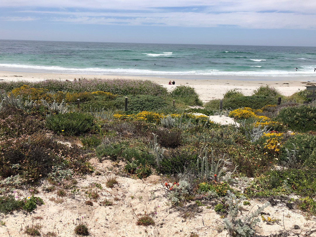 圆石滩别墅酒店主图