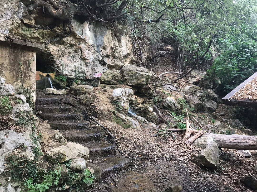 Leading Guests-雷斯蒙必去景点