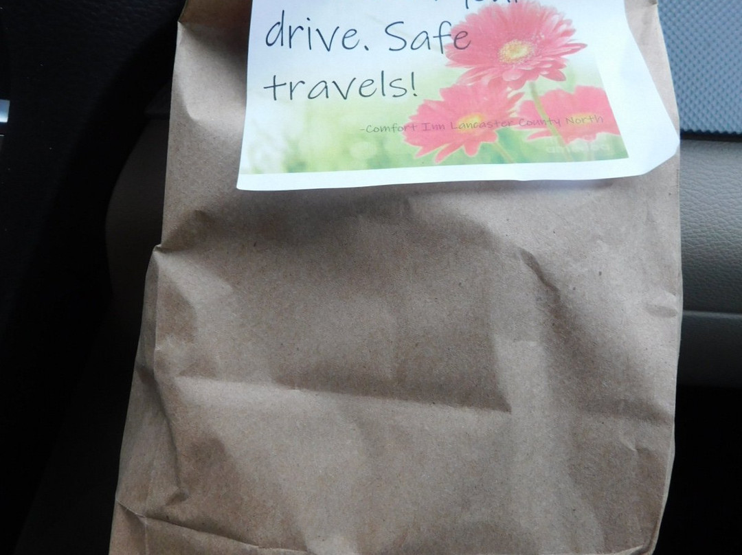 Comfort Inn of Lancaster County North主图