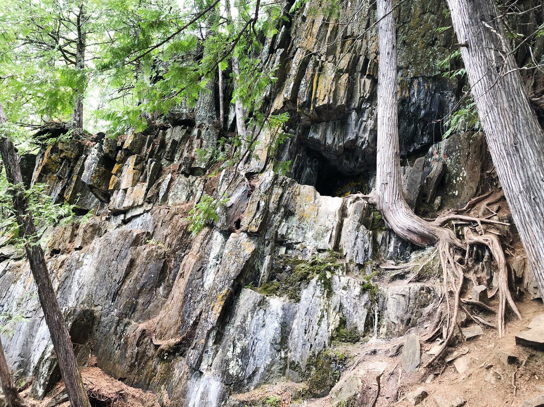 Hunt Lake Hiking Trail景点图片