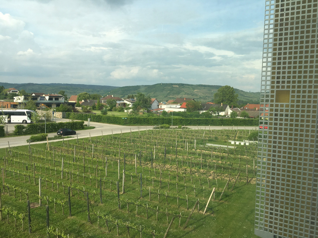Loisium Wine & Spa Hotel Langenlois主图