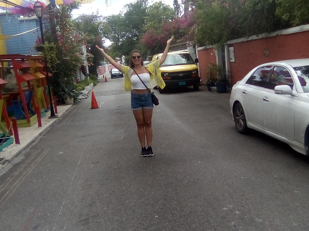 Richie's Transportation Services-拿骚必去景点