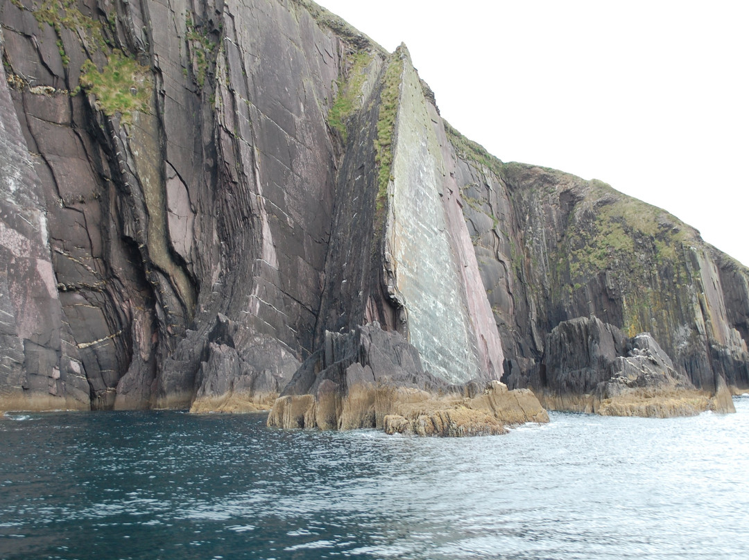 Blasket Islands Eco Marine Tours景点图片