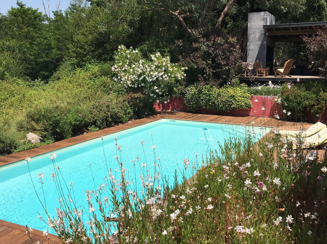 Chateau Du Tasta主图