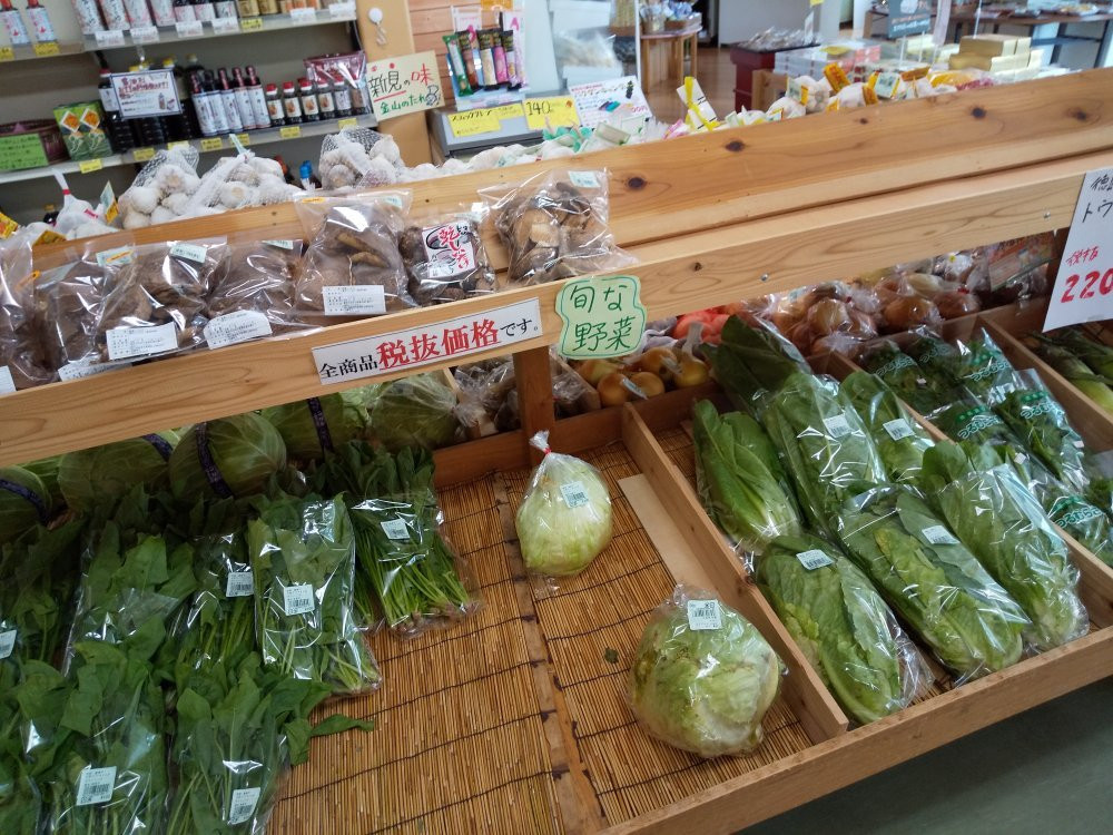 Koigakubo Michi-no-Eki-新见市必去景点